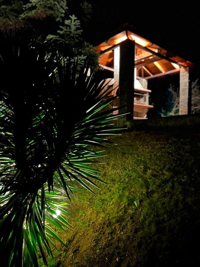 카르디차 House In The Woods 아파트 외부 사진
